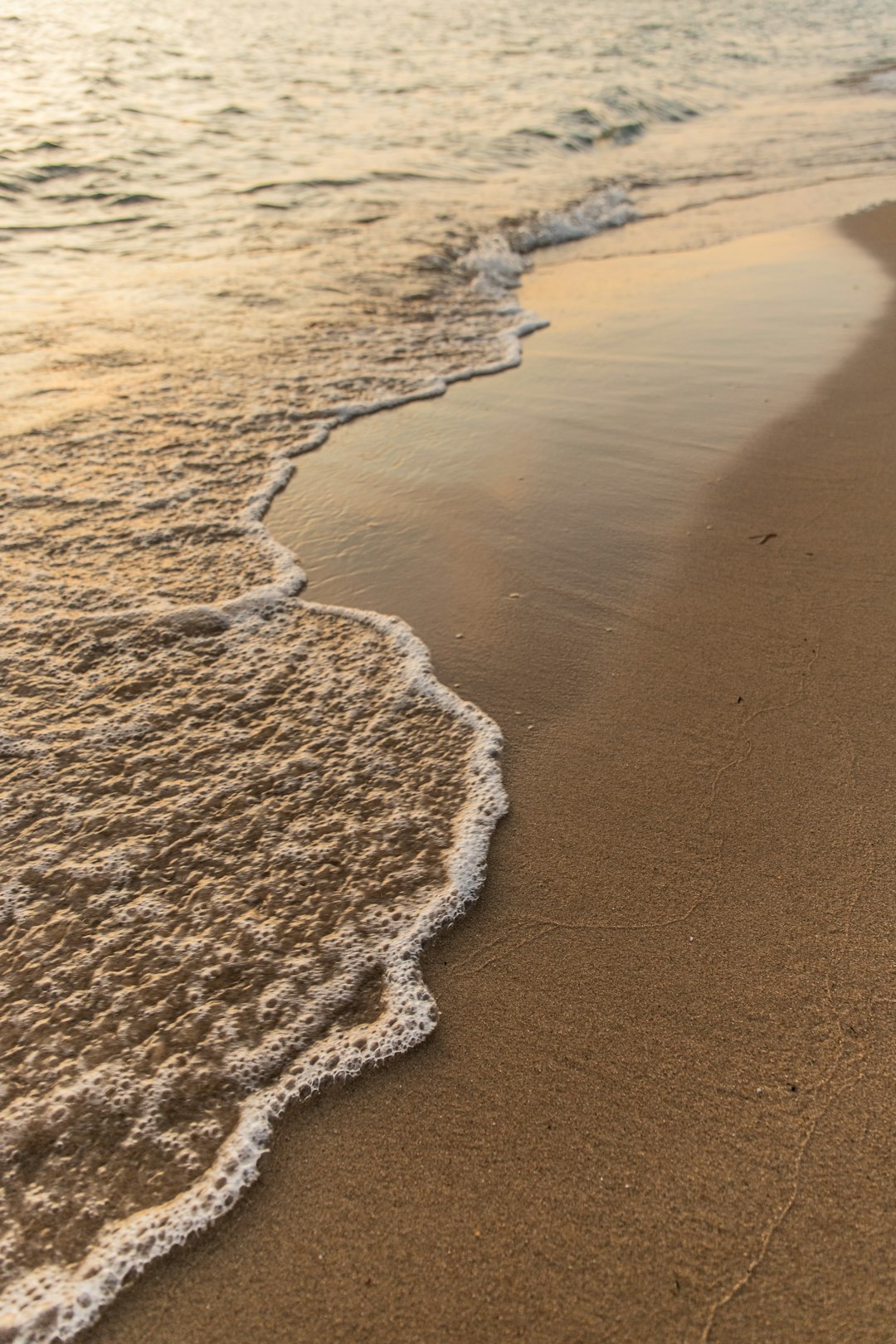 brown sand on beach during daytime