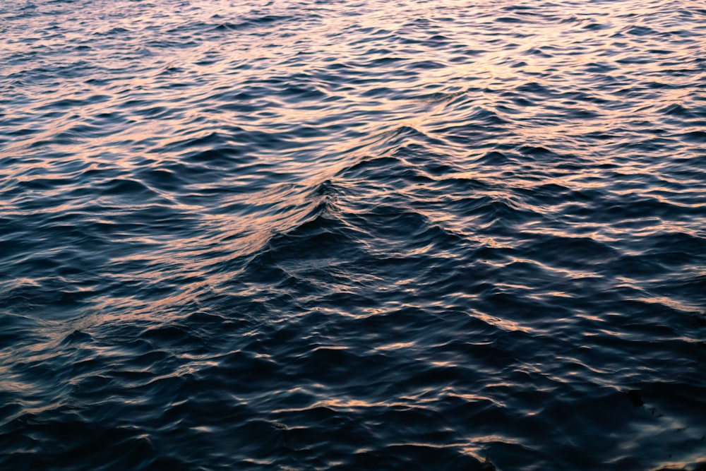 body of water during daytime