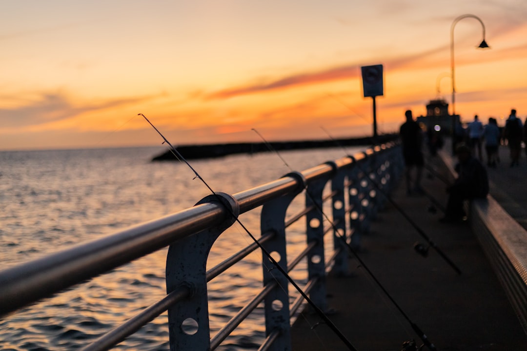 gray metal railings near sea during sunset