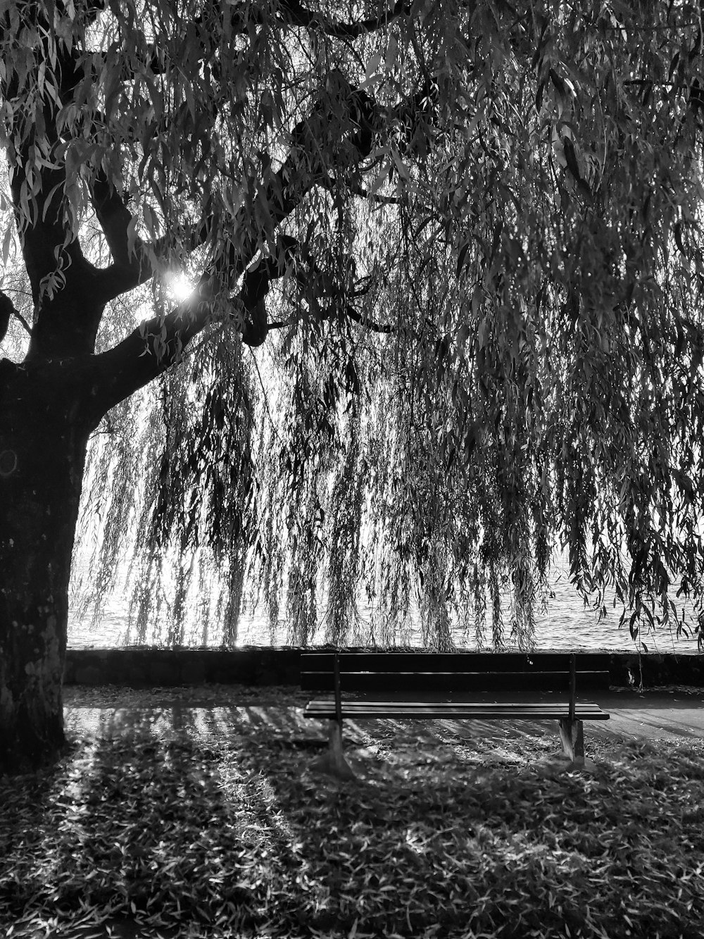 grayscale photo of water fountain