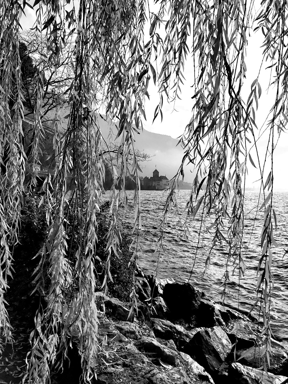 grayscale photo of bare trees near body of water