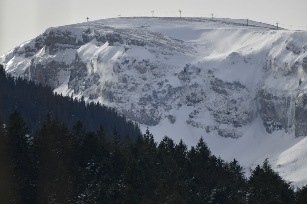 green pine trees on snow covered mountain during daytime