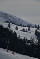 A snowy mountainous landscape featuring a ski slope with tracks, surrounded by dense evergreen trees. Several small wooden cabins are scattered across the snow-covered hills. A red cable car is suspended mid-air, moving across the scene. Overcast skies cast a muted light over the area.
