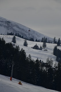 A snowy mountainous landscape featuring a ski slope with tracks, surrounded by dense evergreen trees. Several small wooden cabins are scattered across the snow-covered hills. A red cable car is suspended mid-air, moving across the scene. Overcast skies cast a muted light over the area.