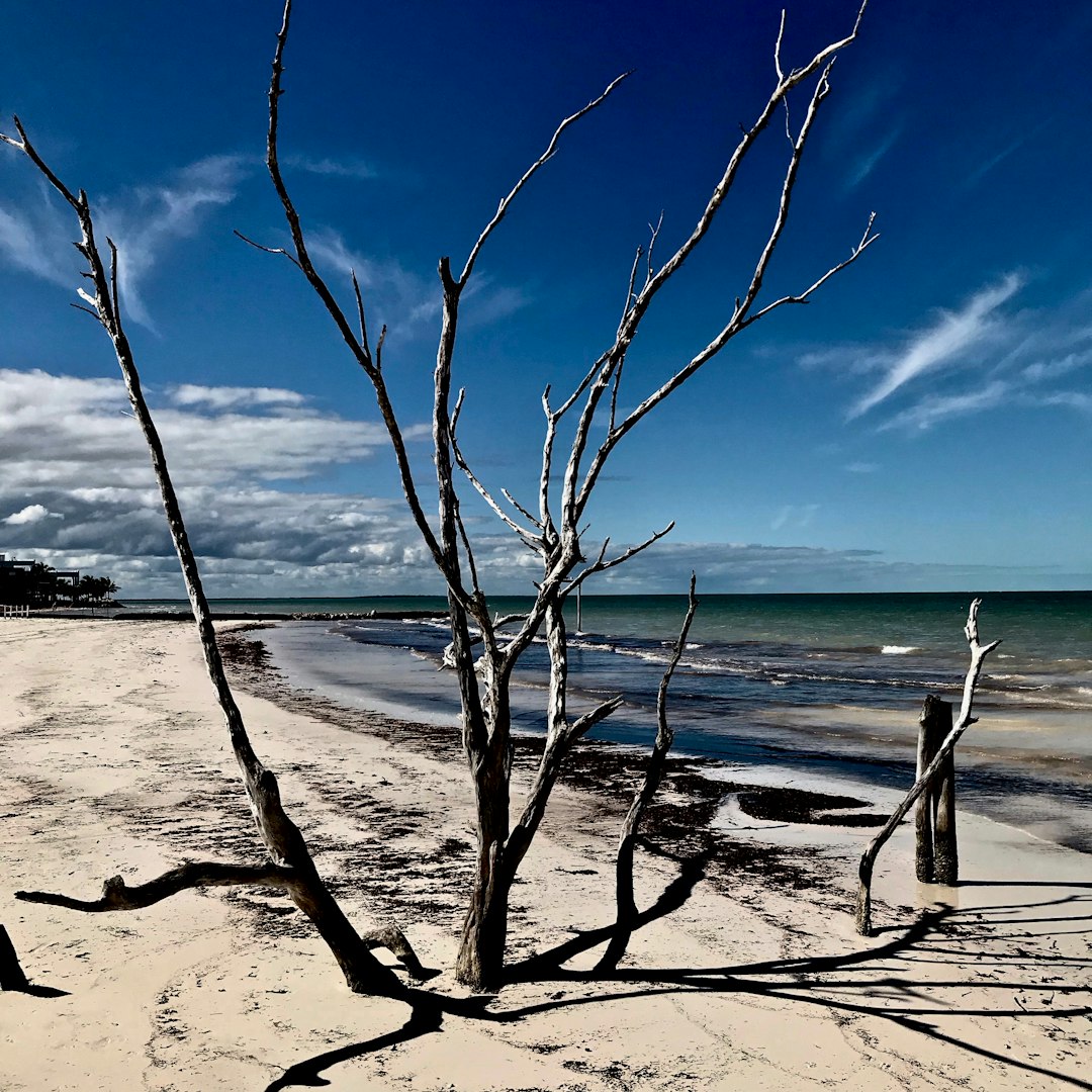 Beach photo spot Holbox Quintana Roo