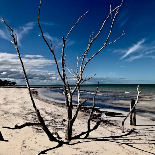 photo of Holbox Beach near Quintana Roo