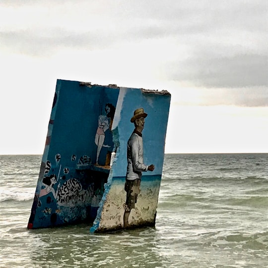 man in black shorts standing on blue and white board on body of water during daytime in Holbox Mexico