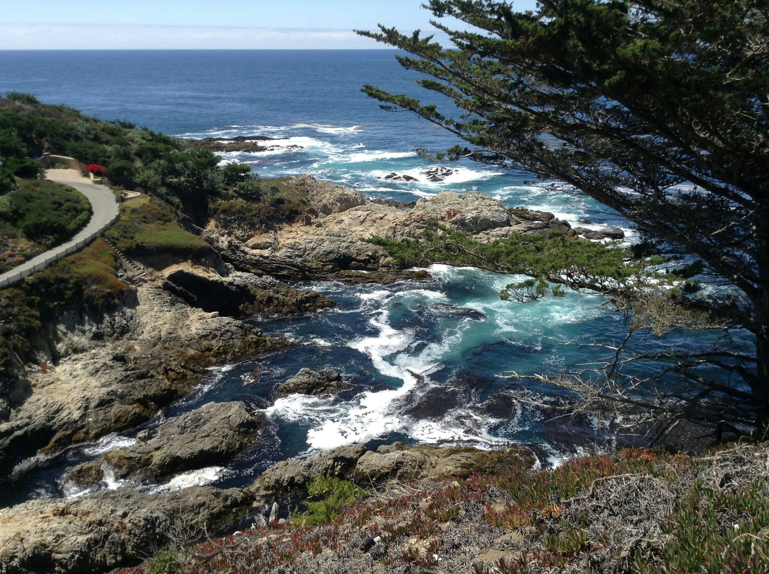 Photo by mareksminder