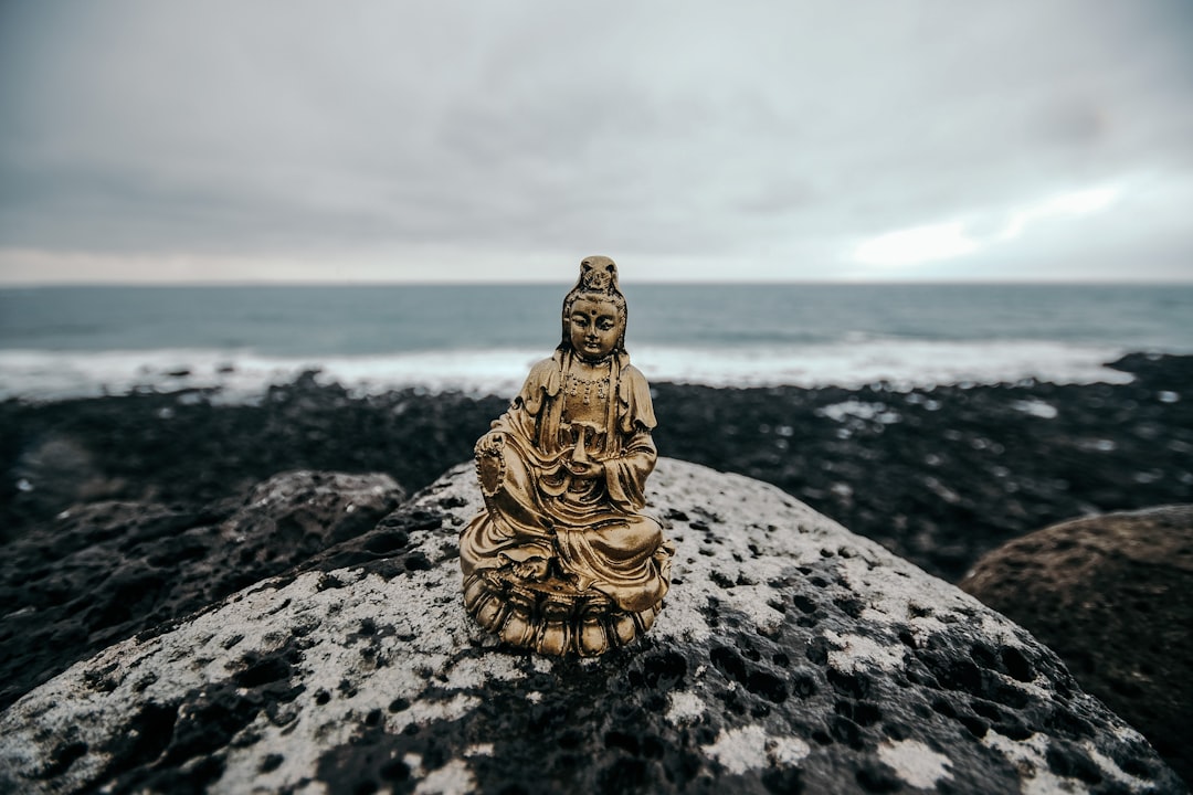 gold buddha figurine on gray rock near body of water during daytime