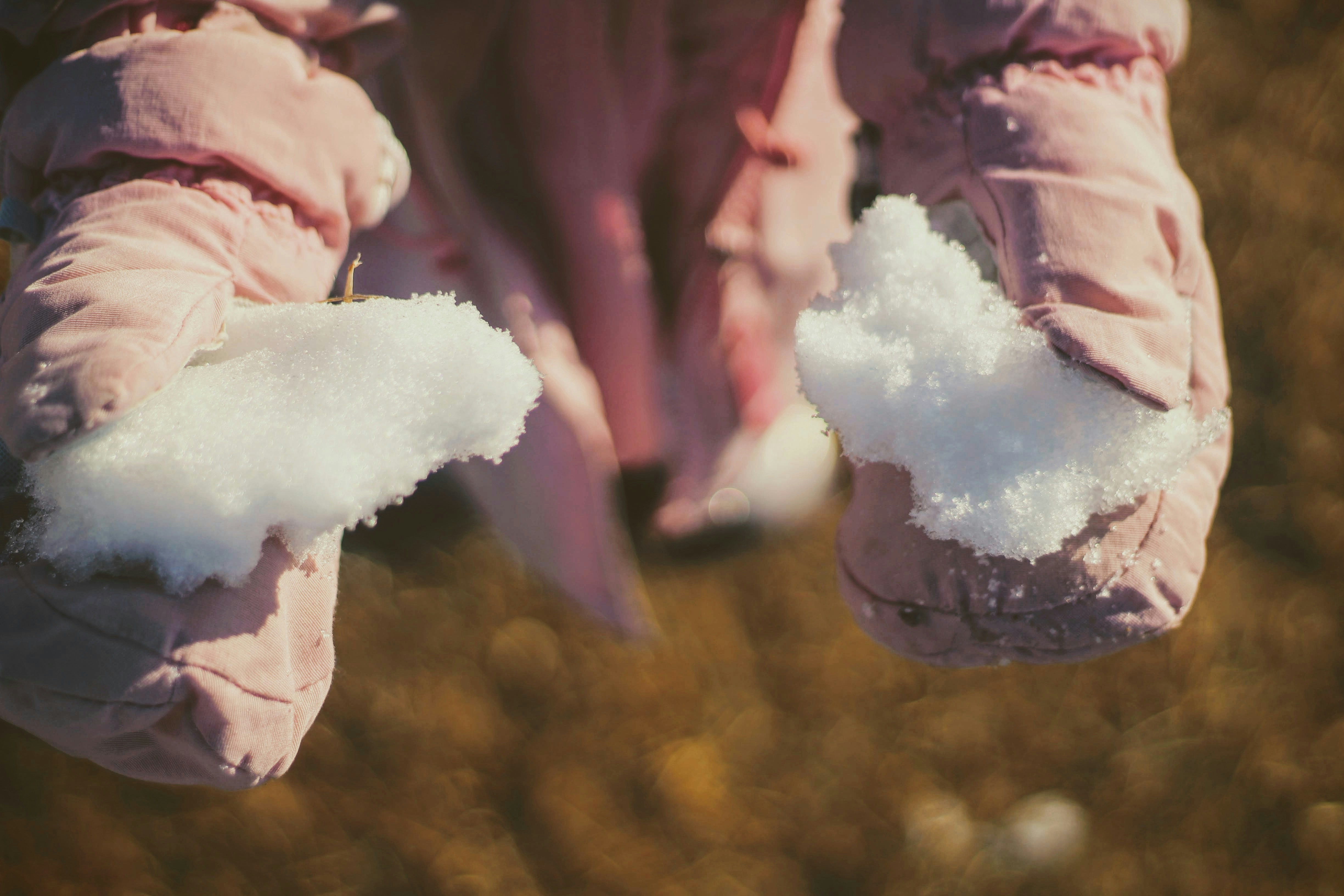 객체 탐지 실습  YOLO 모델 직접 다뤄보기