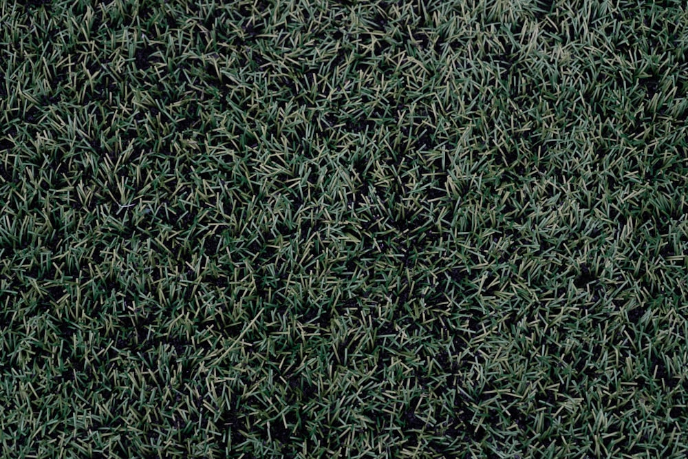 Foto Pessoas jogando futebol no campo de grama verde durante o dia – Imagem  de Desportivo grátis no Unsplash