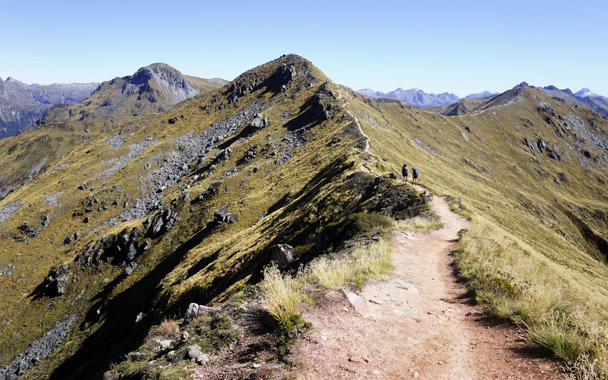 The Kepler Track running along a sunny tussock ridge in Fiordland, with rocky peaks behind