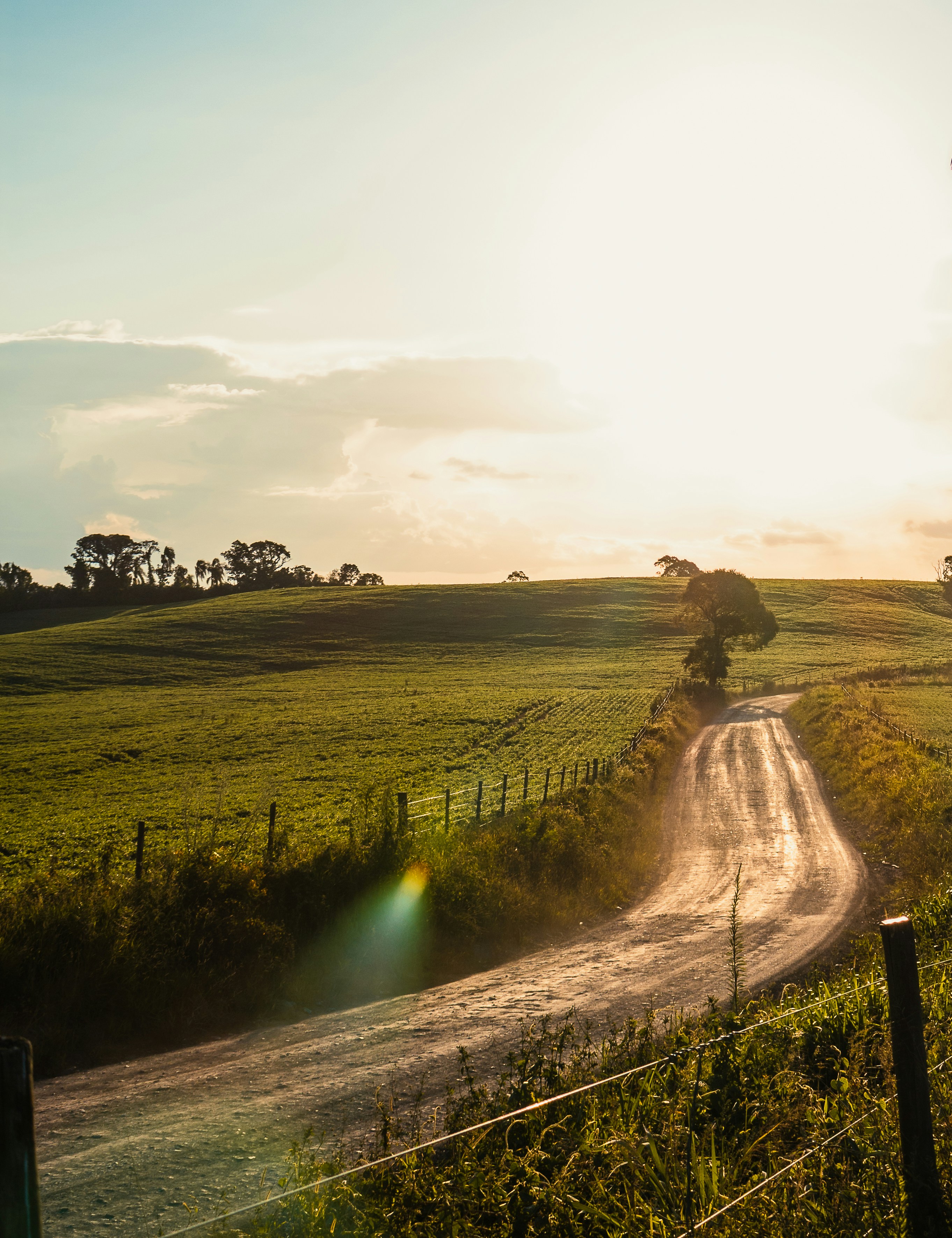 Photo by halannahalila