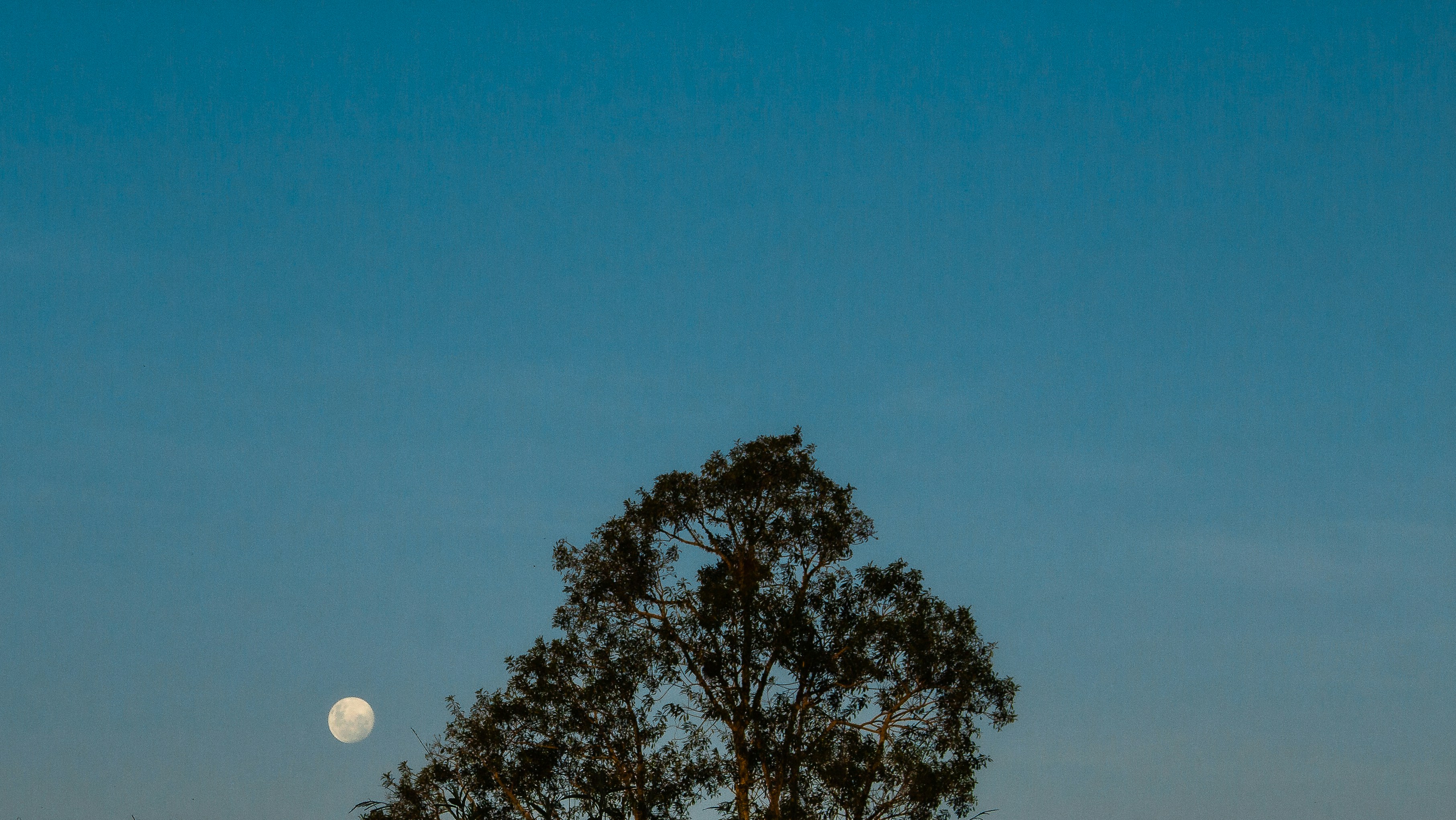 Photo by halannahalila