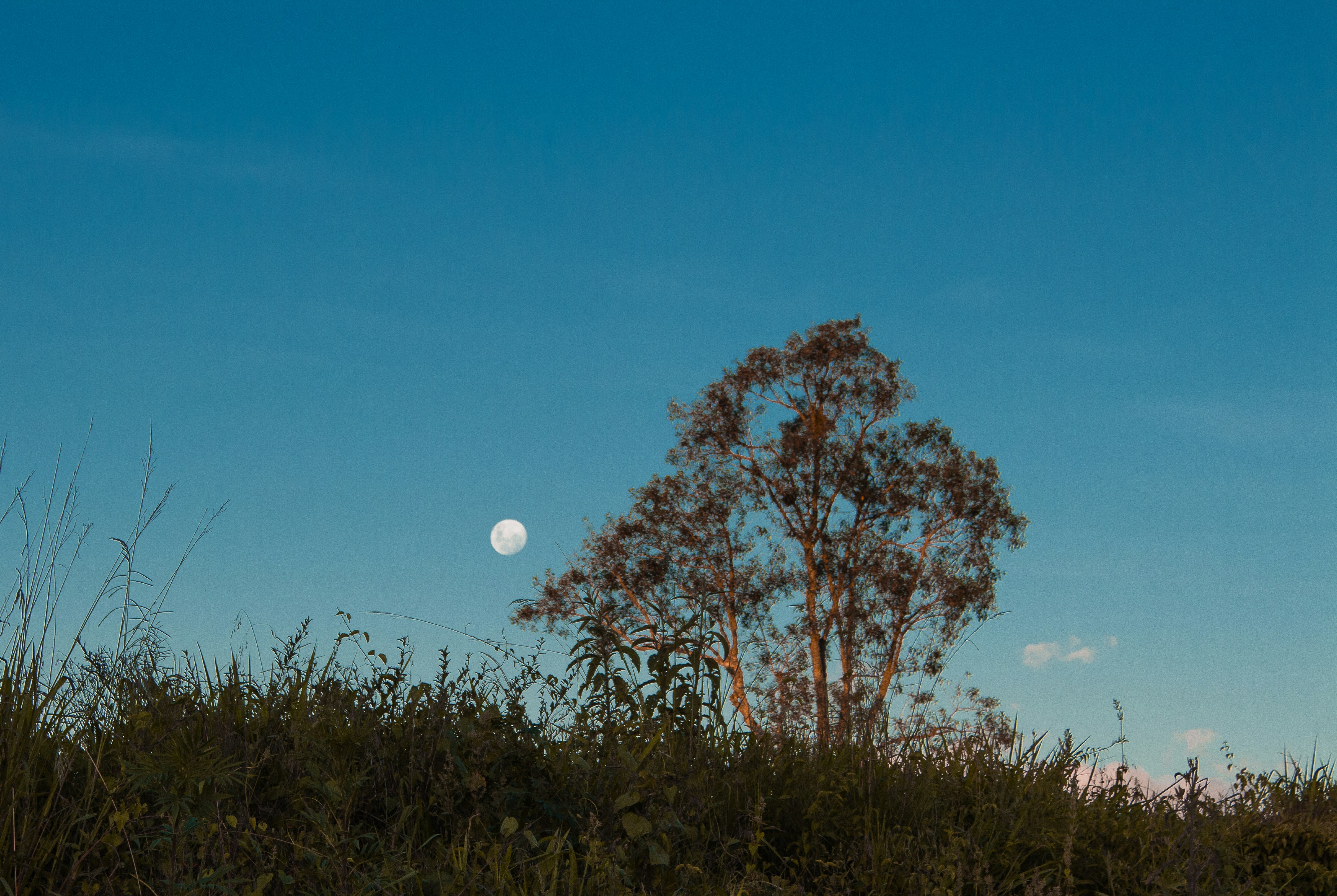 Photo by halannahalila