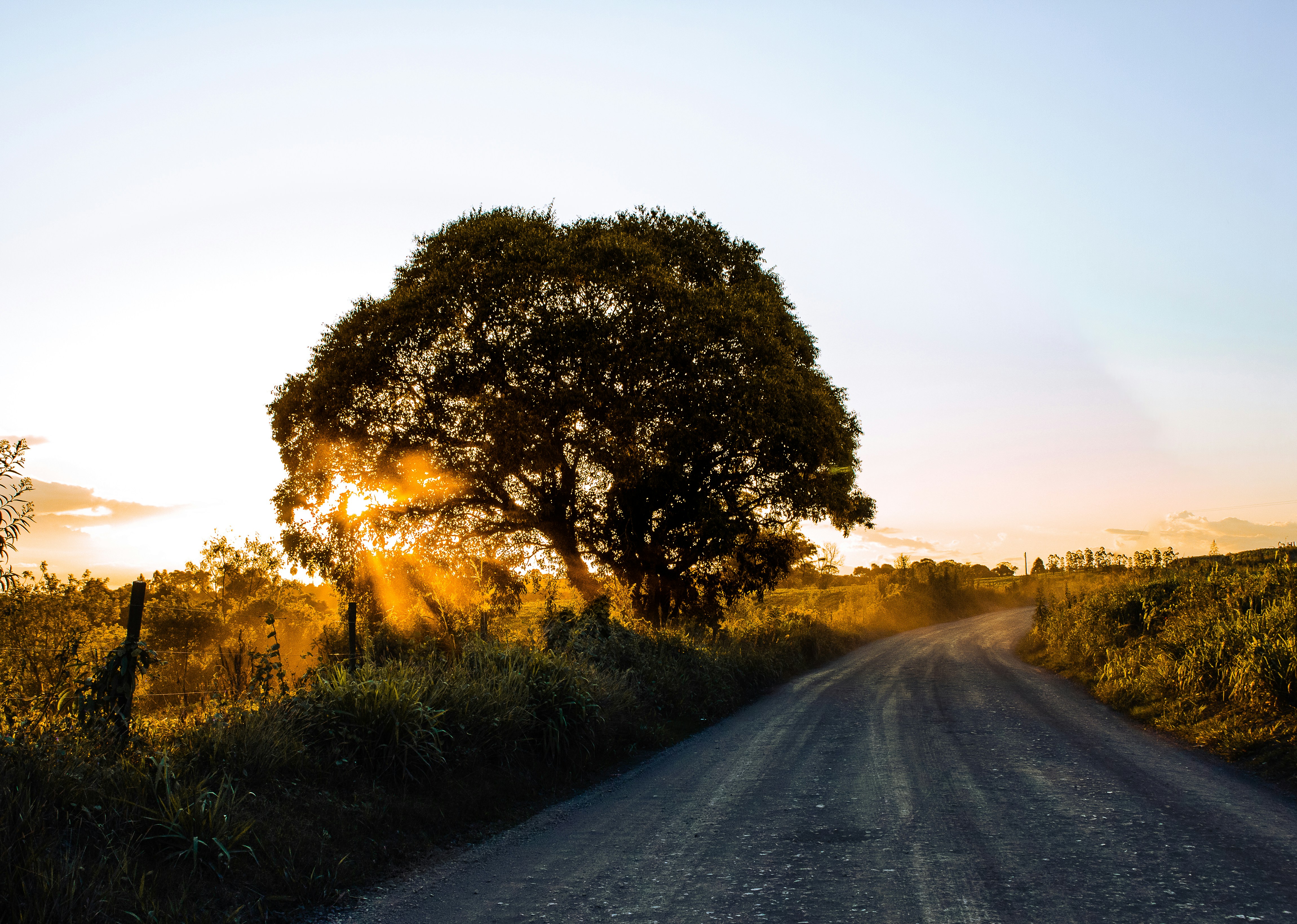 Photo by halannahalila