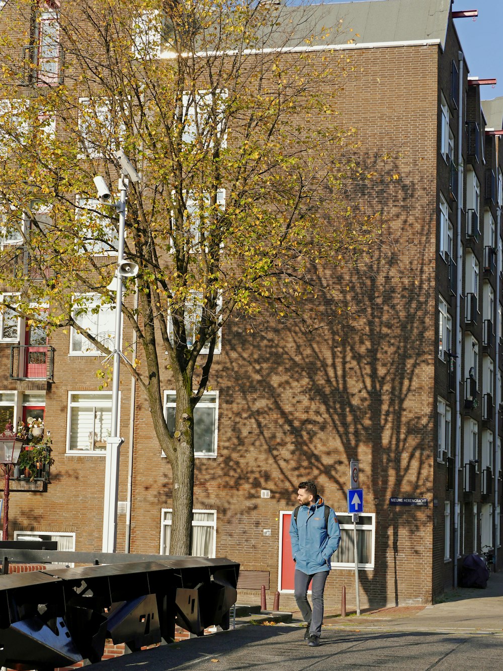 man in blue jacket standing near brown tree during daytime