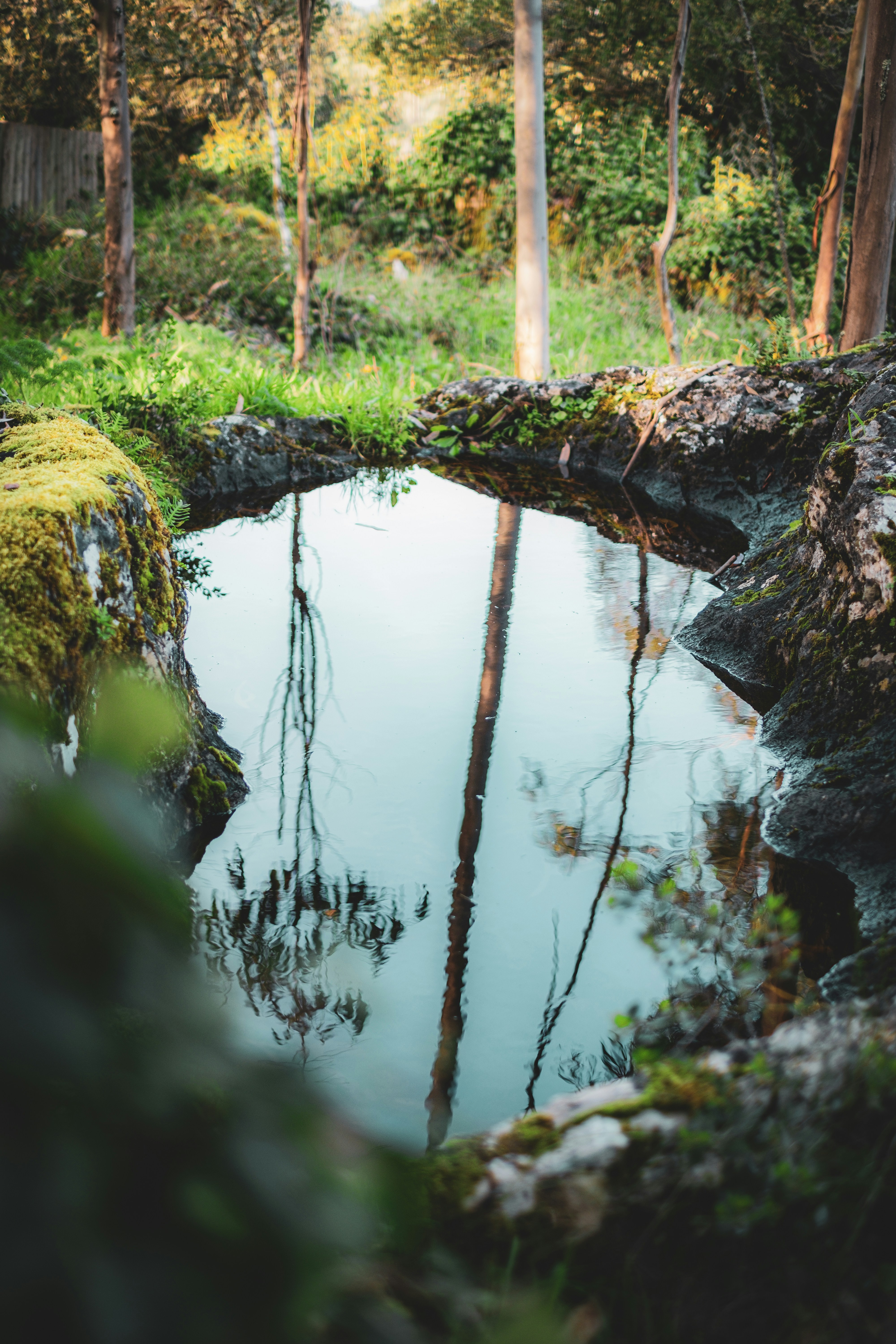 Photo by joaoscferrao