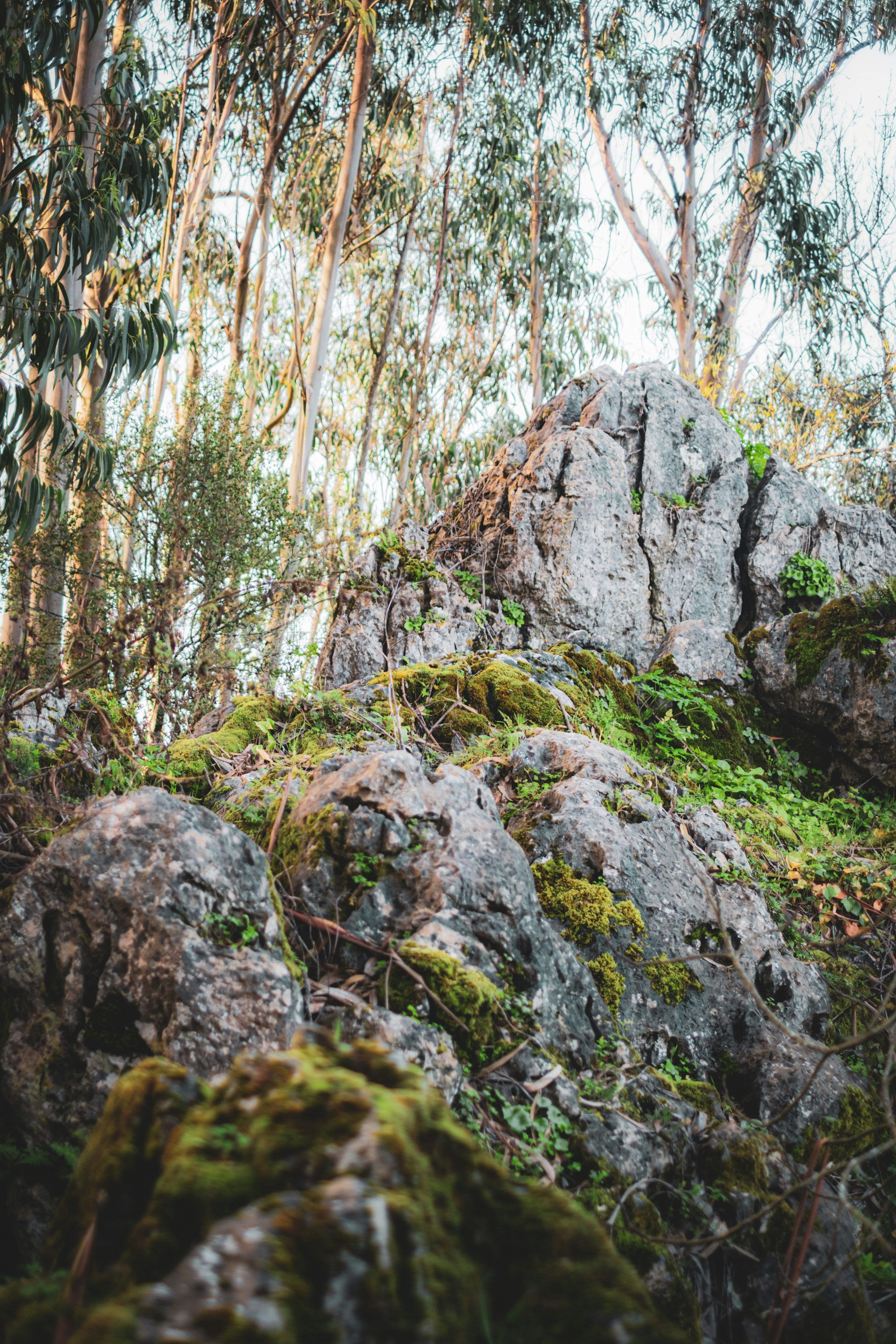 Photo by joaoscferrao