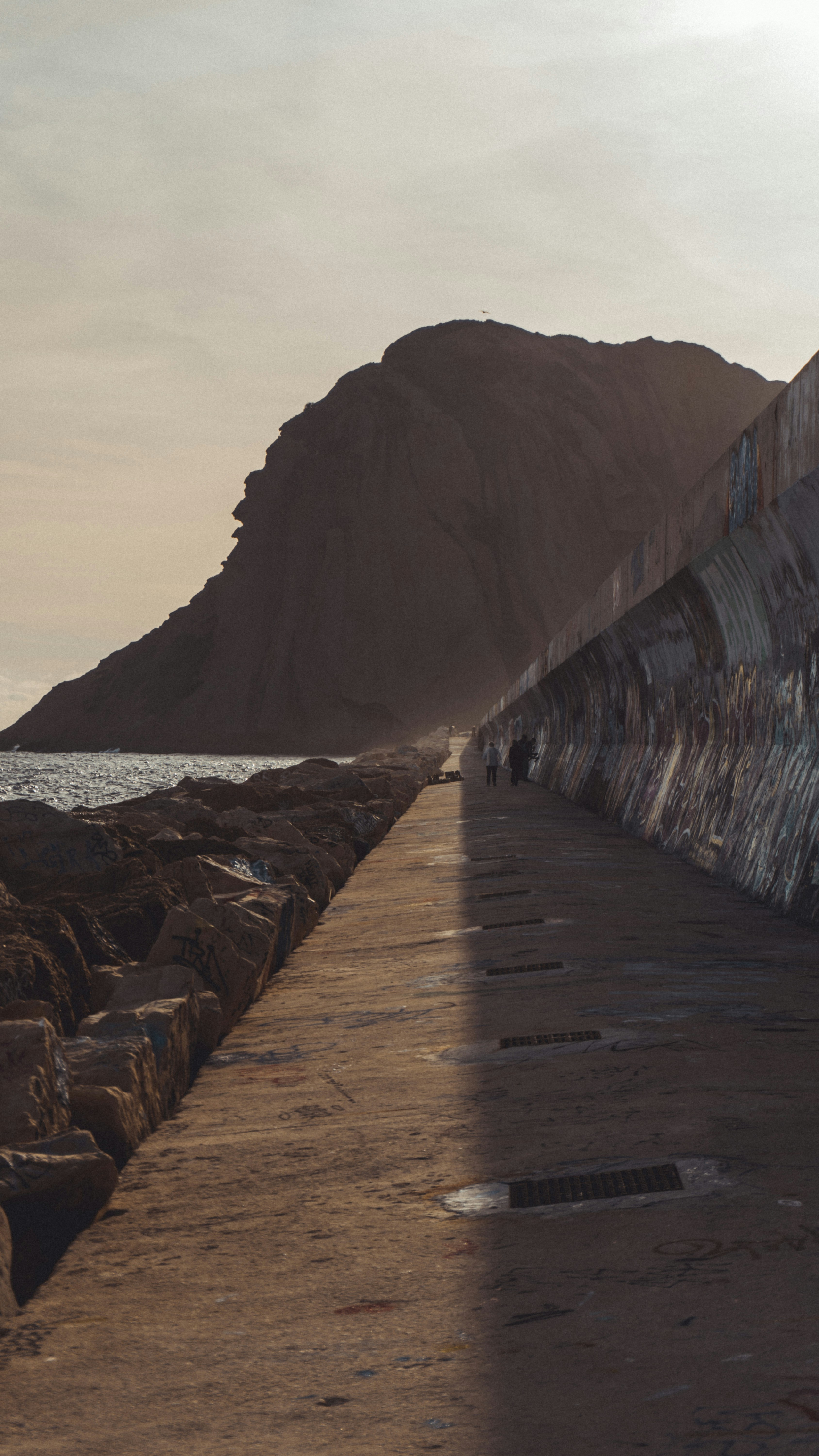 brown wooden dock on beach near brown mountain during daytime