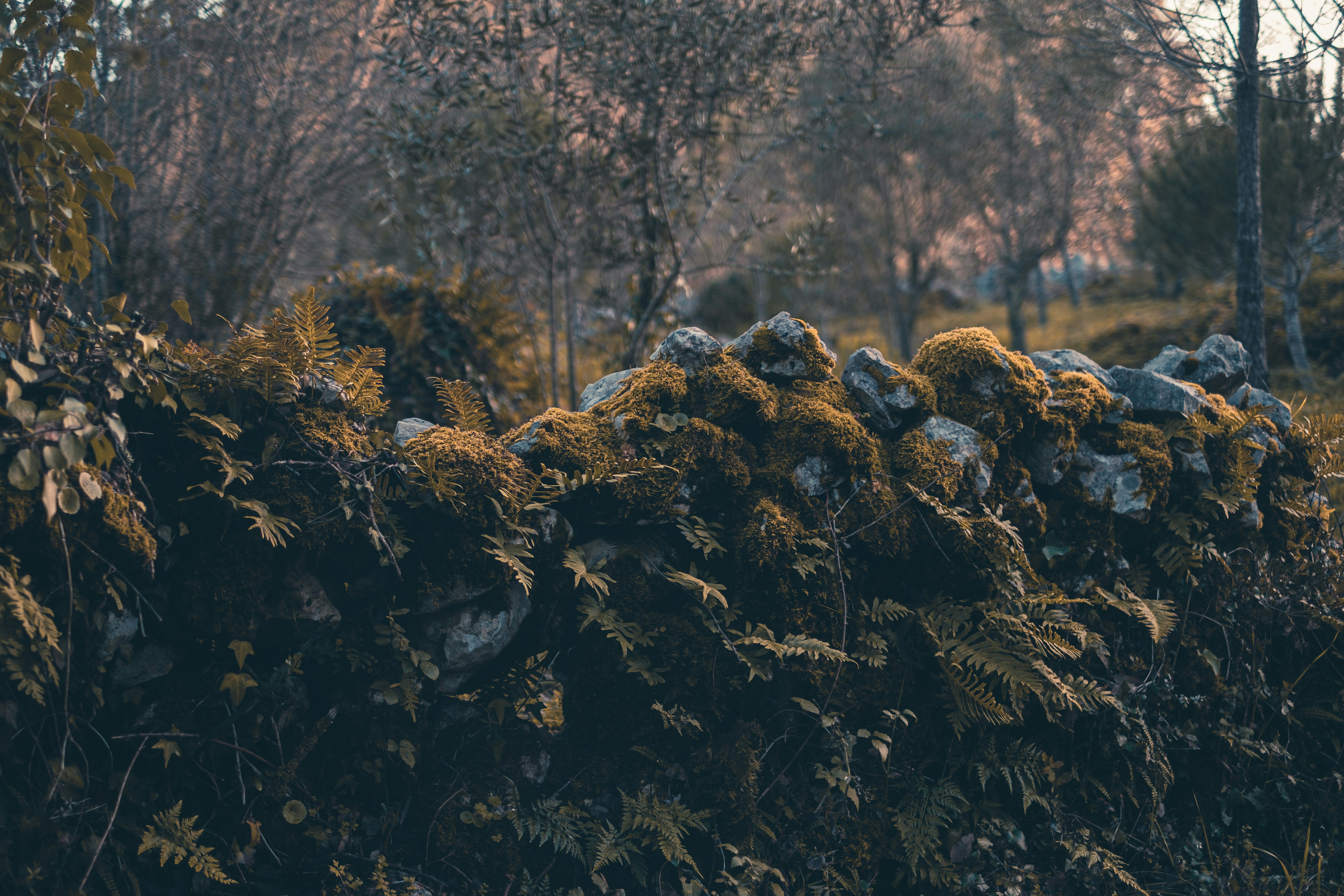 Photo by joaoscferrao