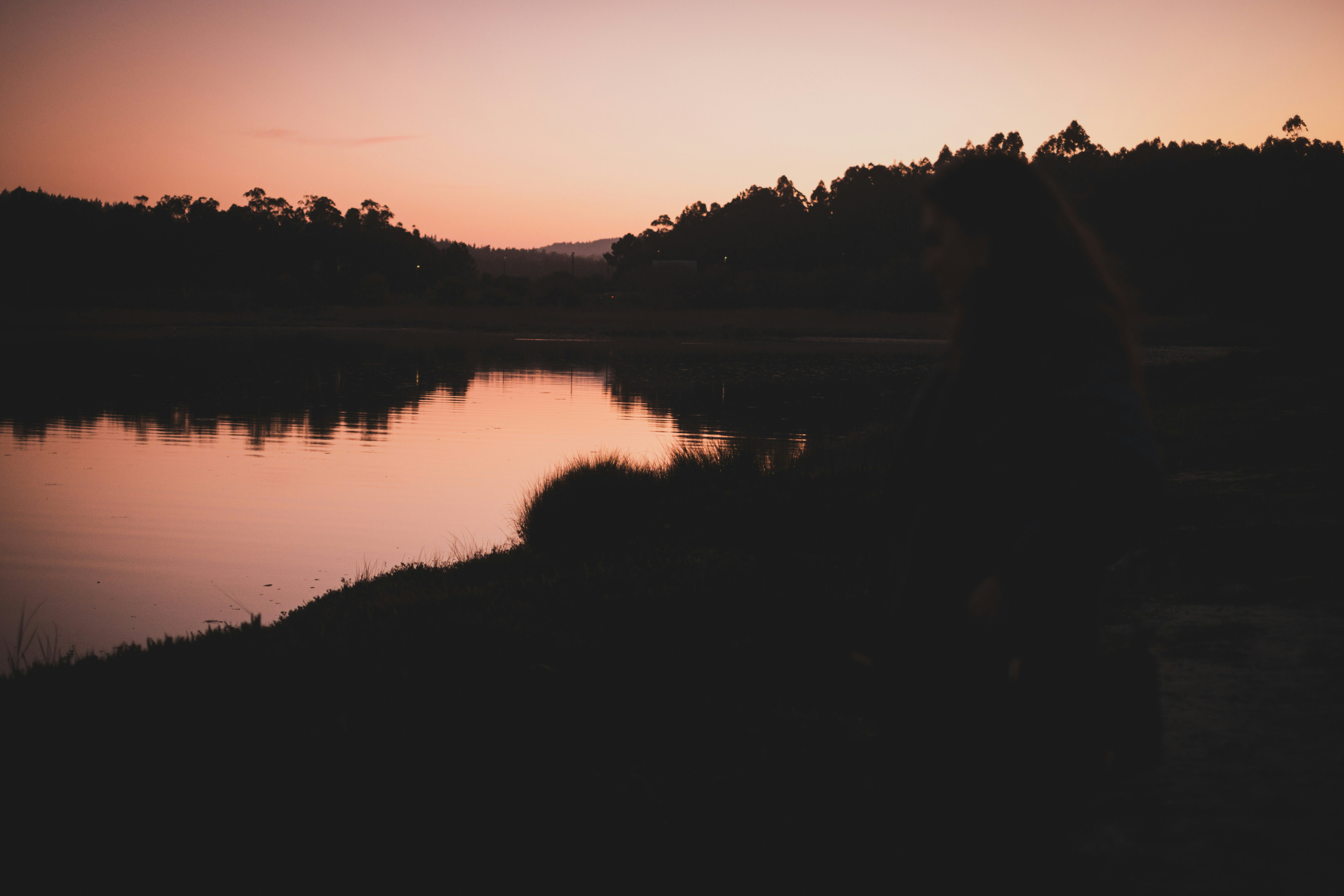 Photo by joaoscferrao