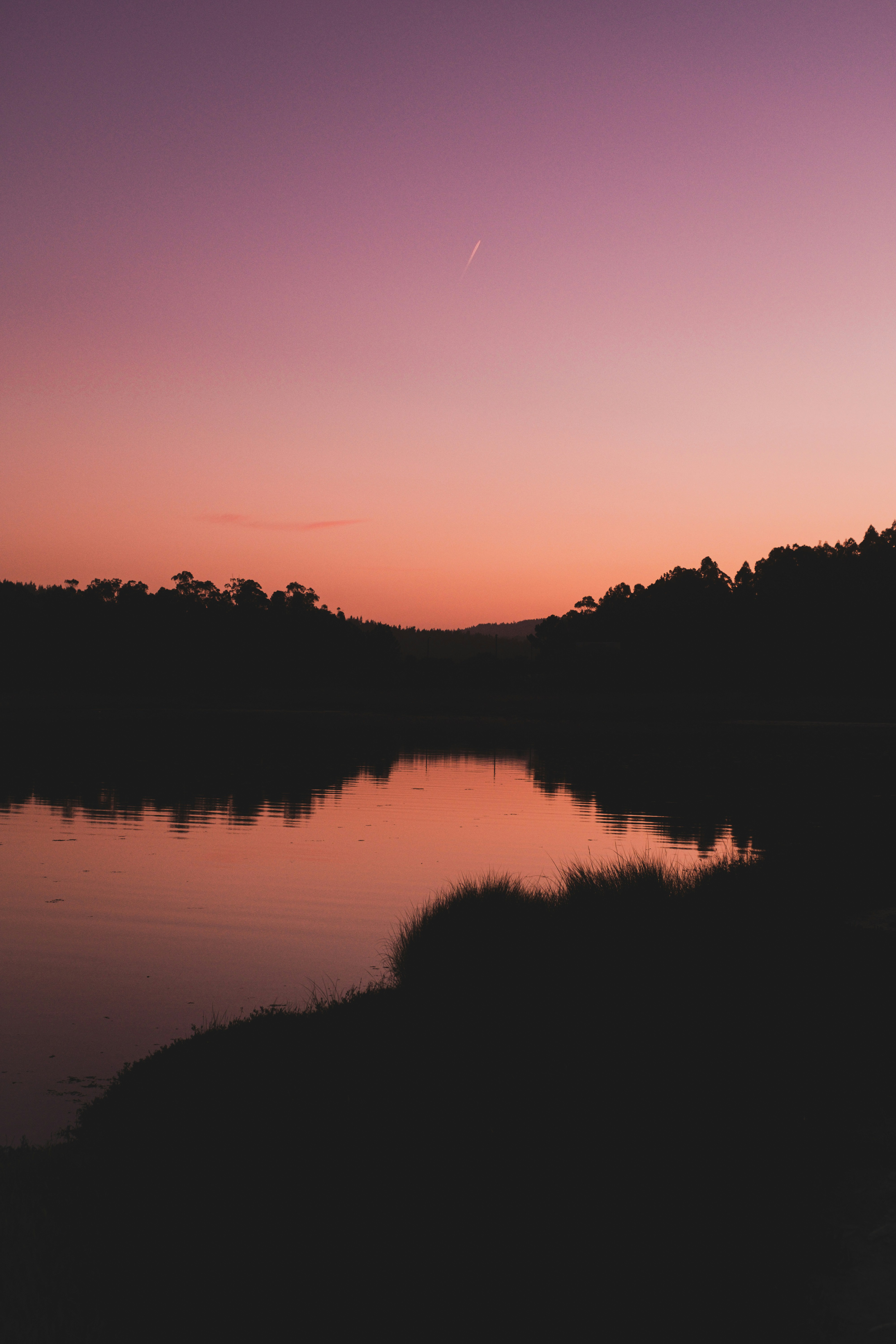 Photo by joaoscferrao