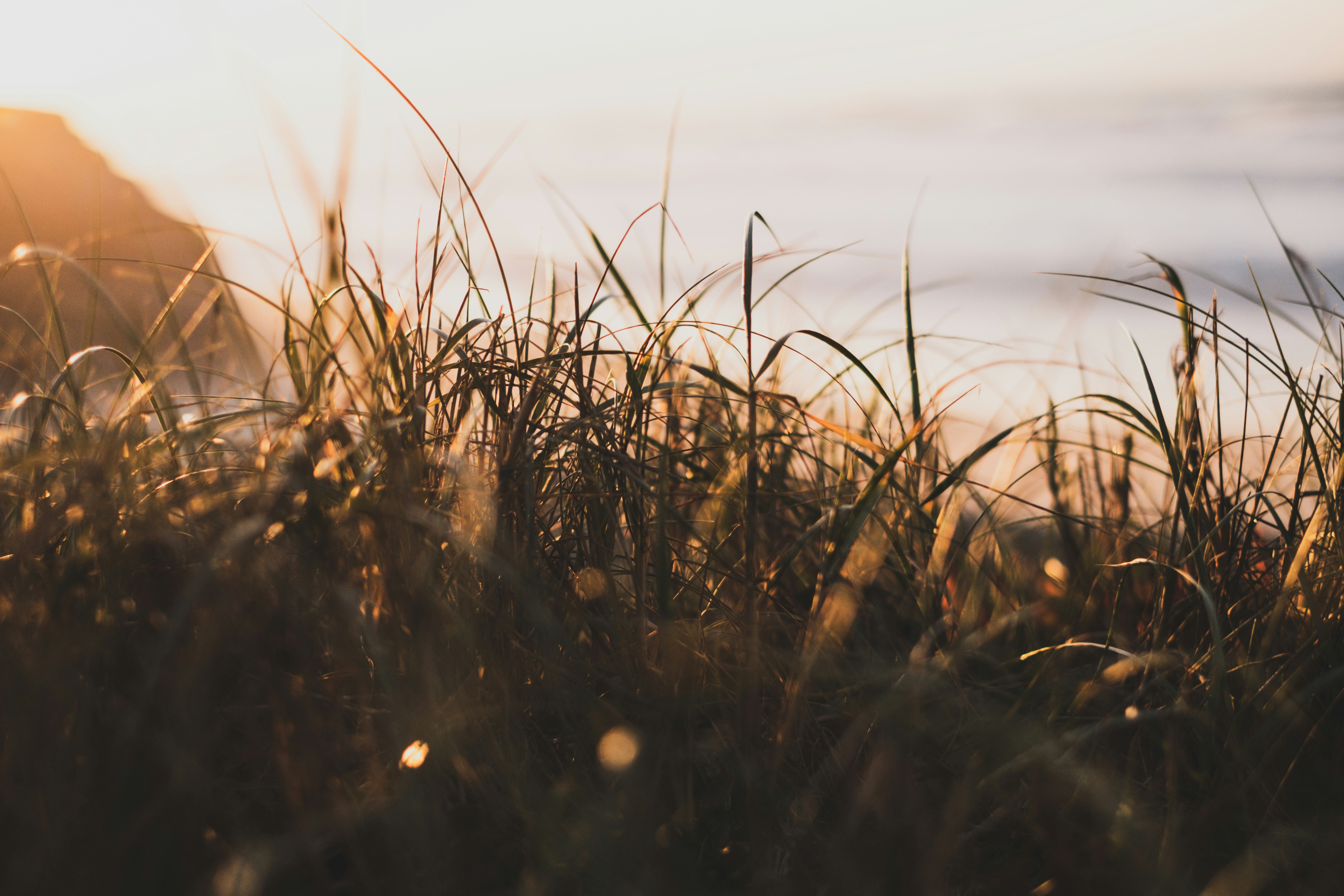 Photo by joaoscferrao