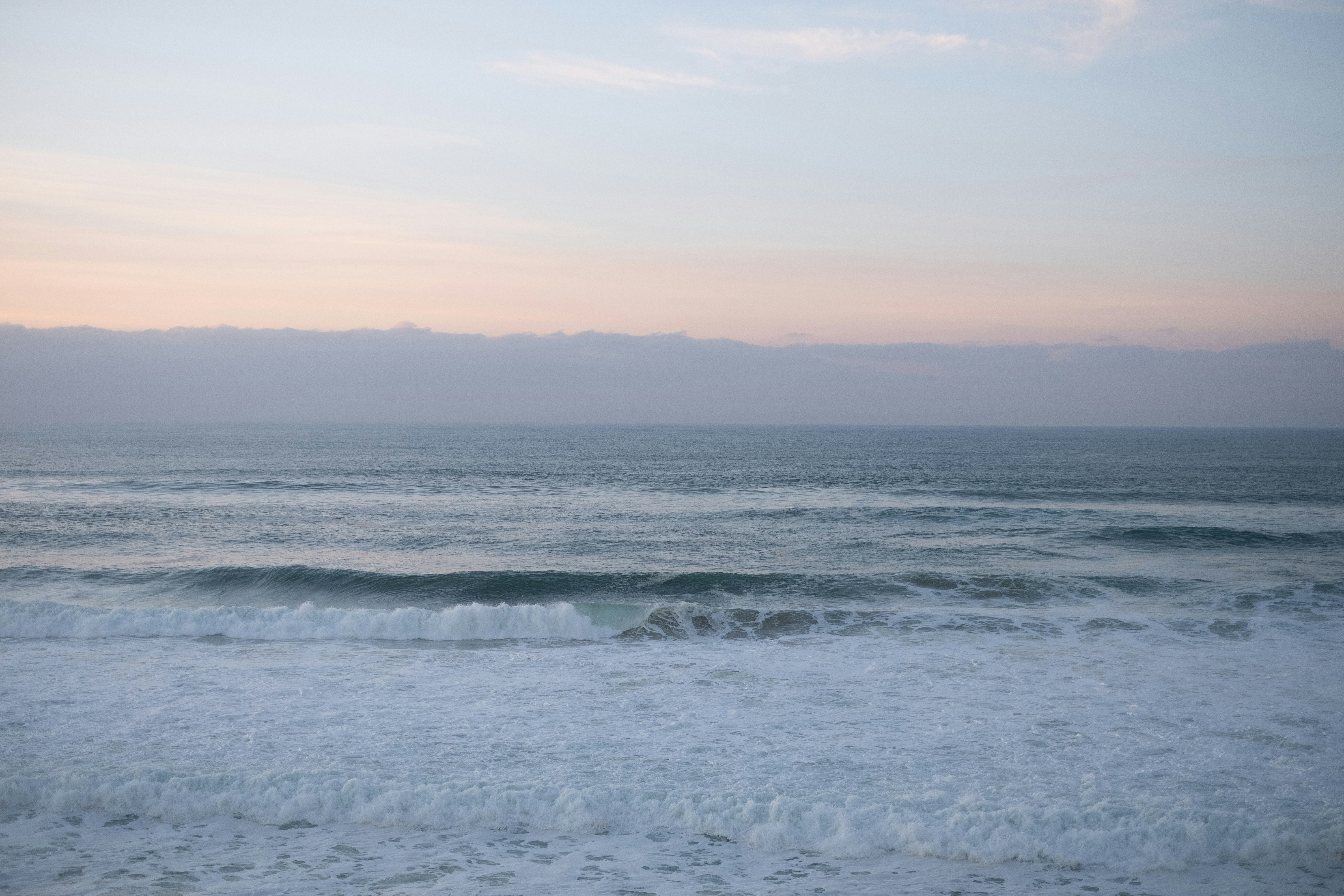 Photo by joaoscferrao