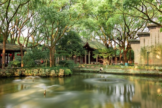 brown wooden house near green trees and river during daytime in Ningbo China