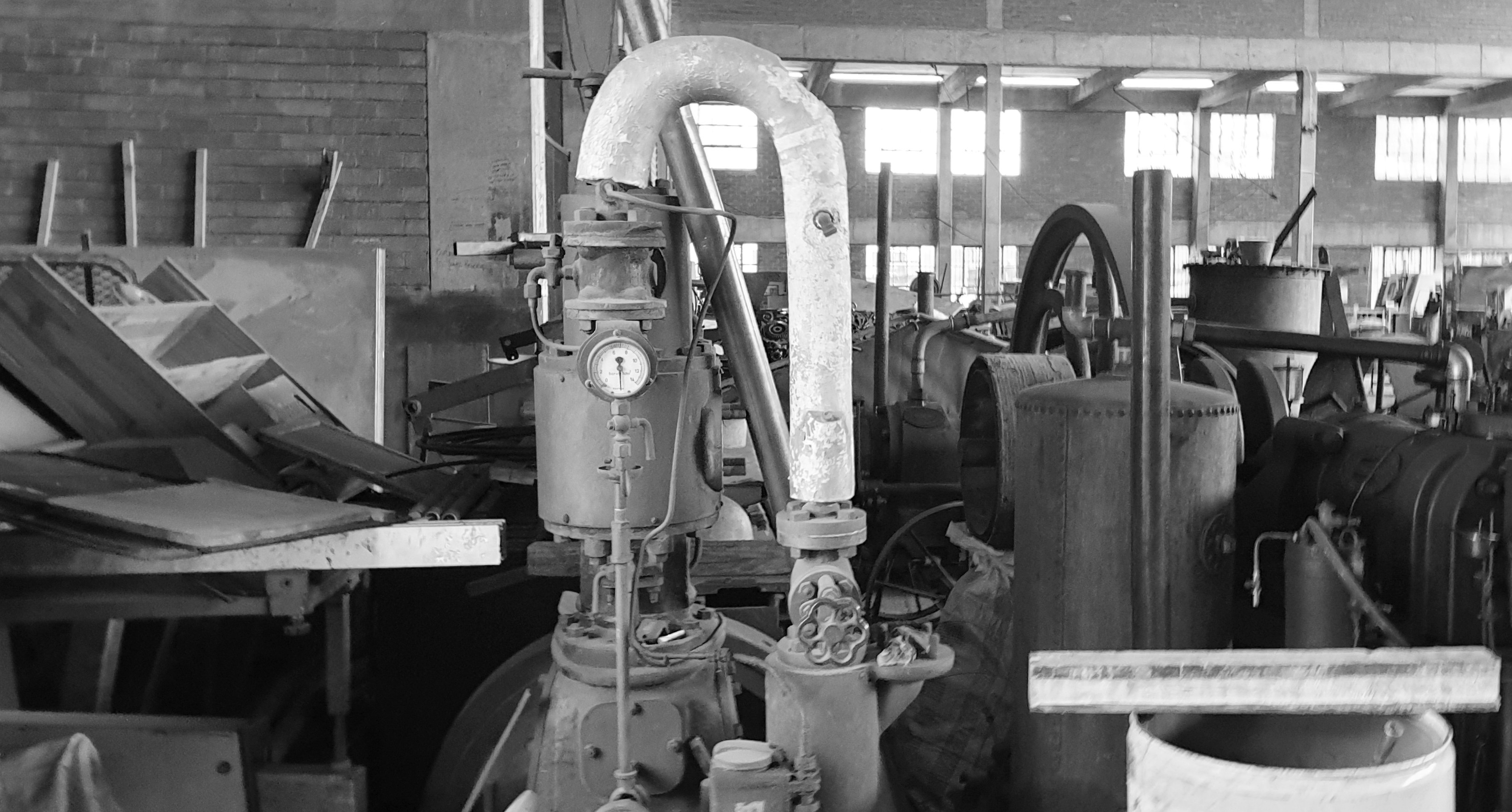 Photo by alphabetania