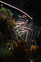 A vibrant garden lit by Luminova’s solar panels, showcasing nature and tech harmony.