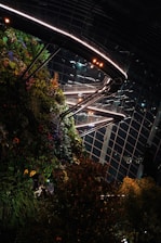 A vibrant garden landscape showcasing diverse plants and eco-friendly design.