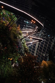 A vibrant vertical garden adorned with lush greenery and colorful flowers, contrasted against a large glass and metal structure. Illuminated walkways and spotlights enhance the modern architectural design, creating a striking interplay between nature and urban elements.