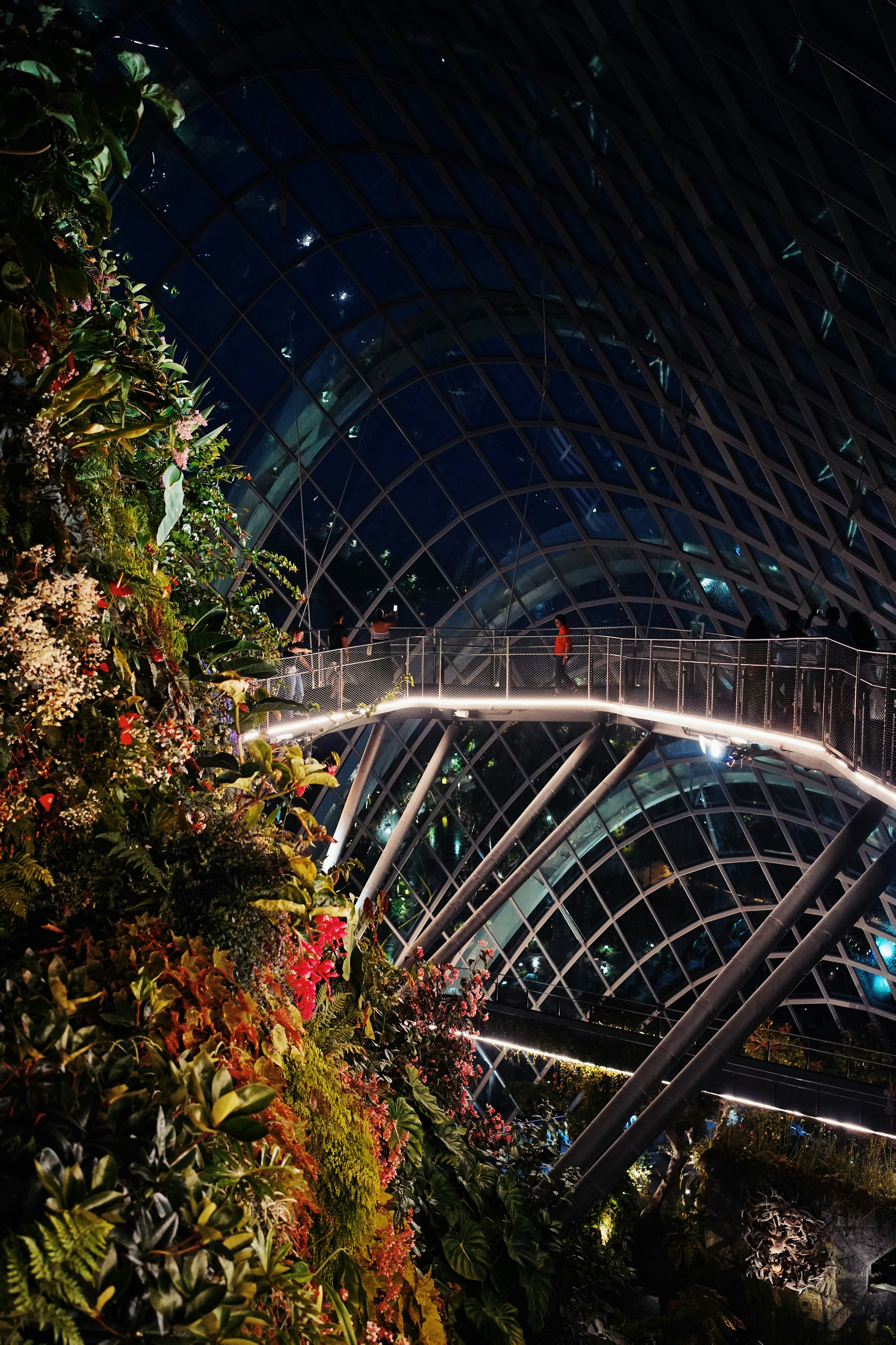 green and red plants near glass building