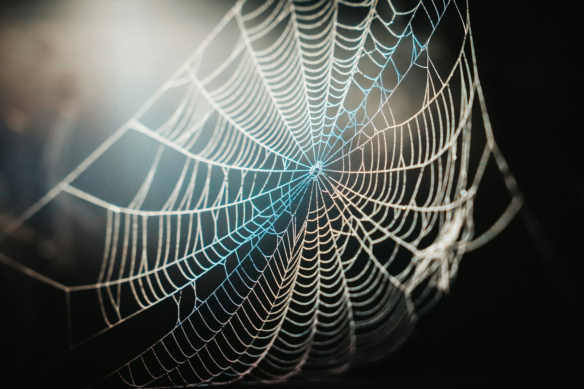 Close-up of Spider-Man's mask with the intricate web pattern catching the light, highlighting the black accents.