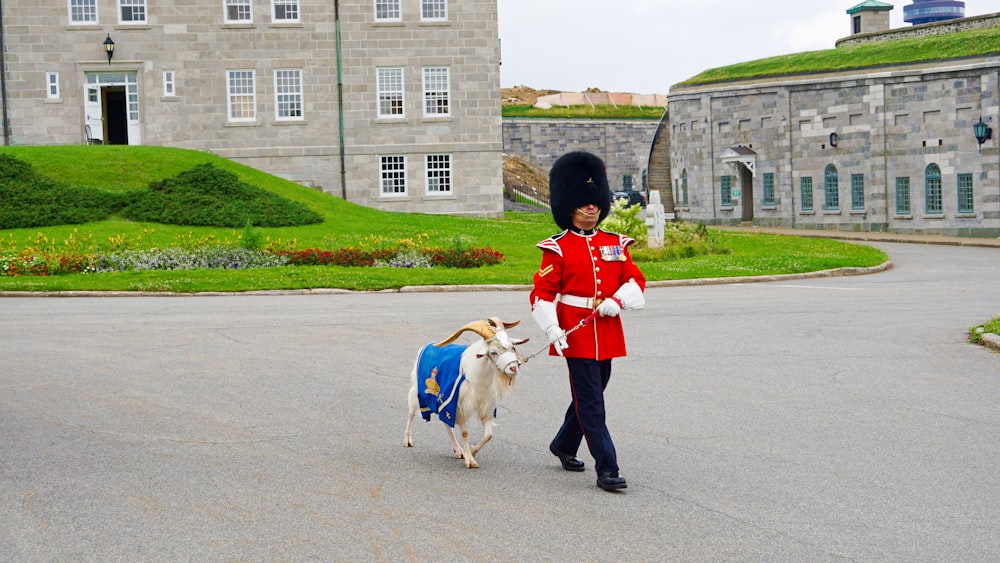 man in red coat and black pants walking with white dog on road during daytime