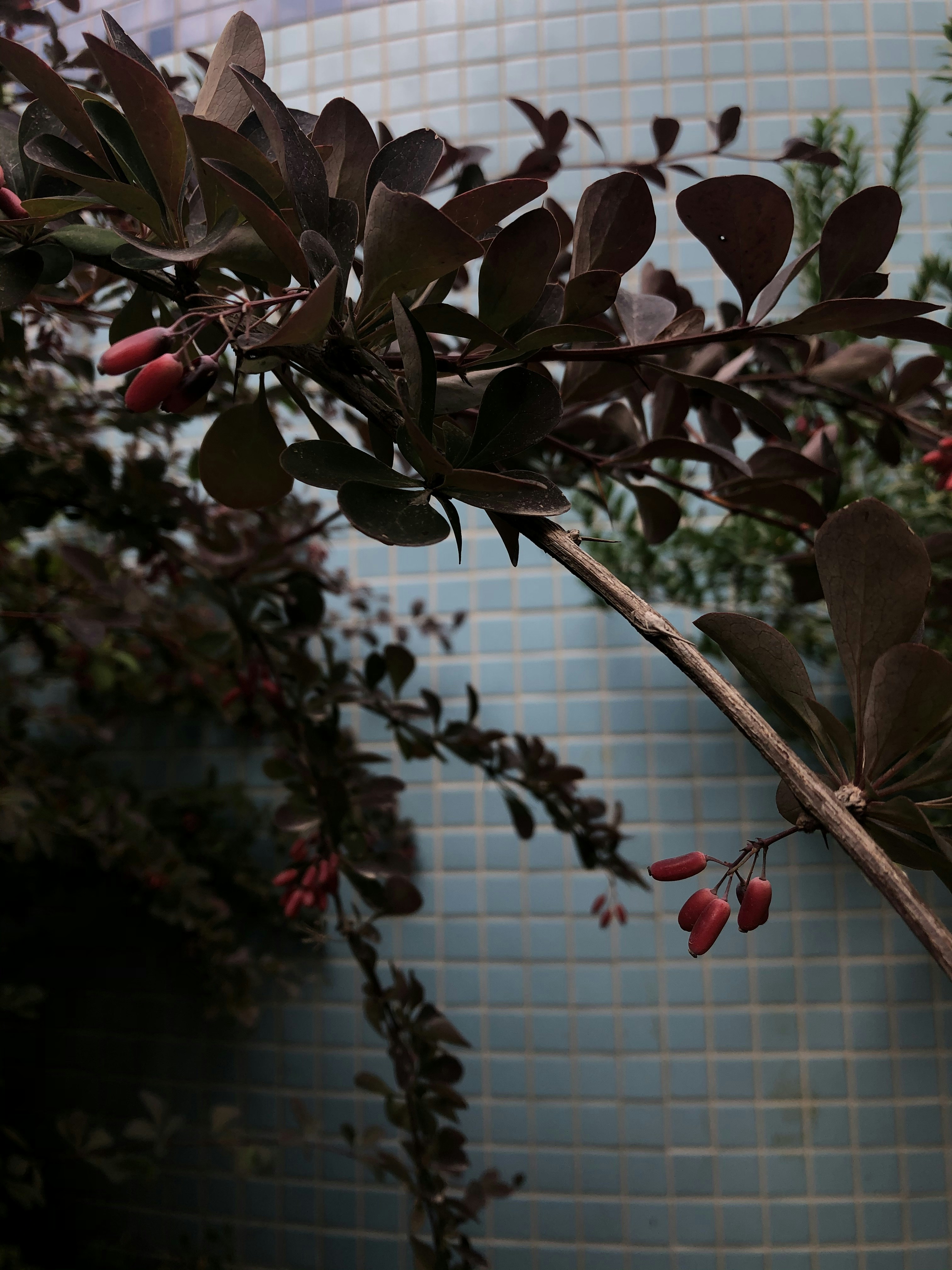 Photo by chana_gabbana