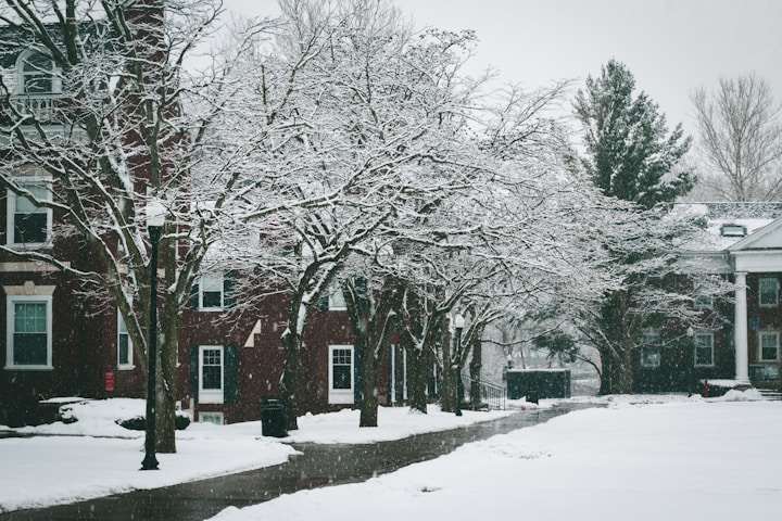 Rochester University