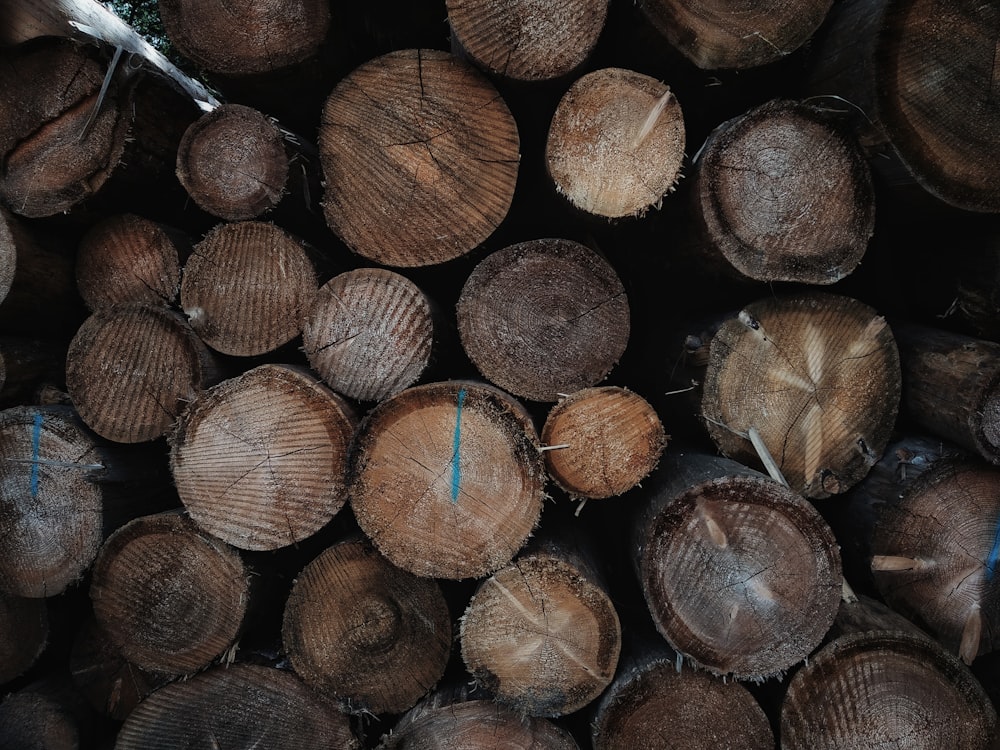 brown and black wood logs