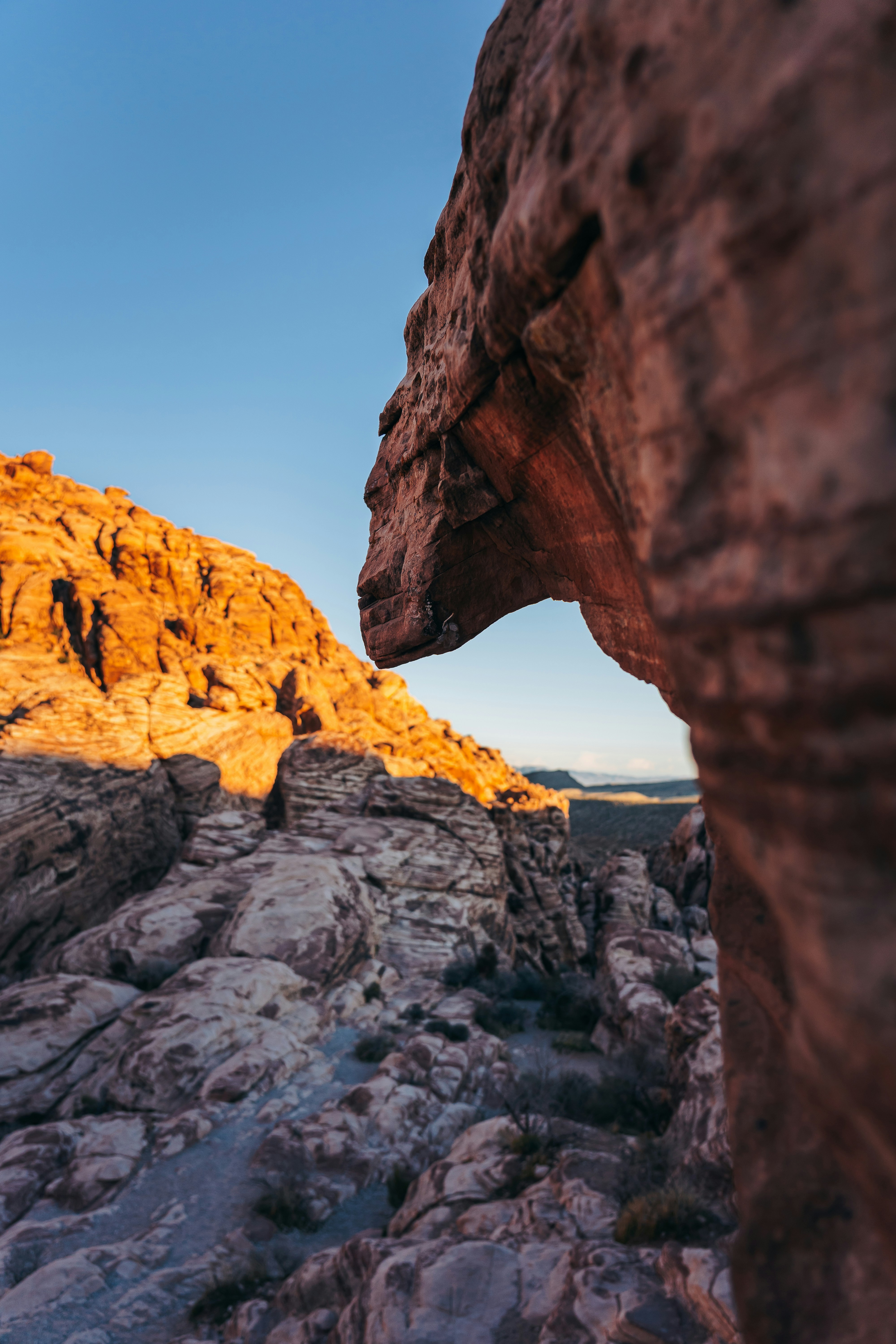 Photo by kalaniparker