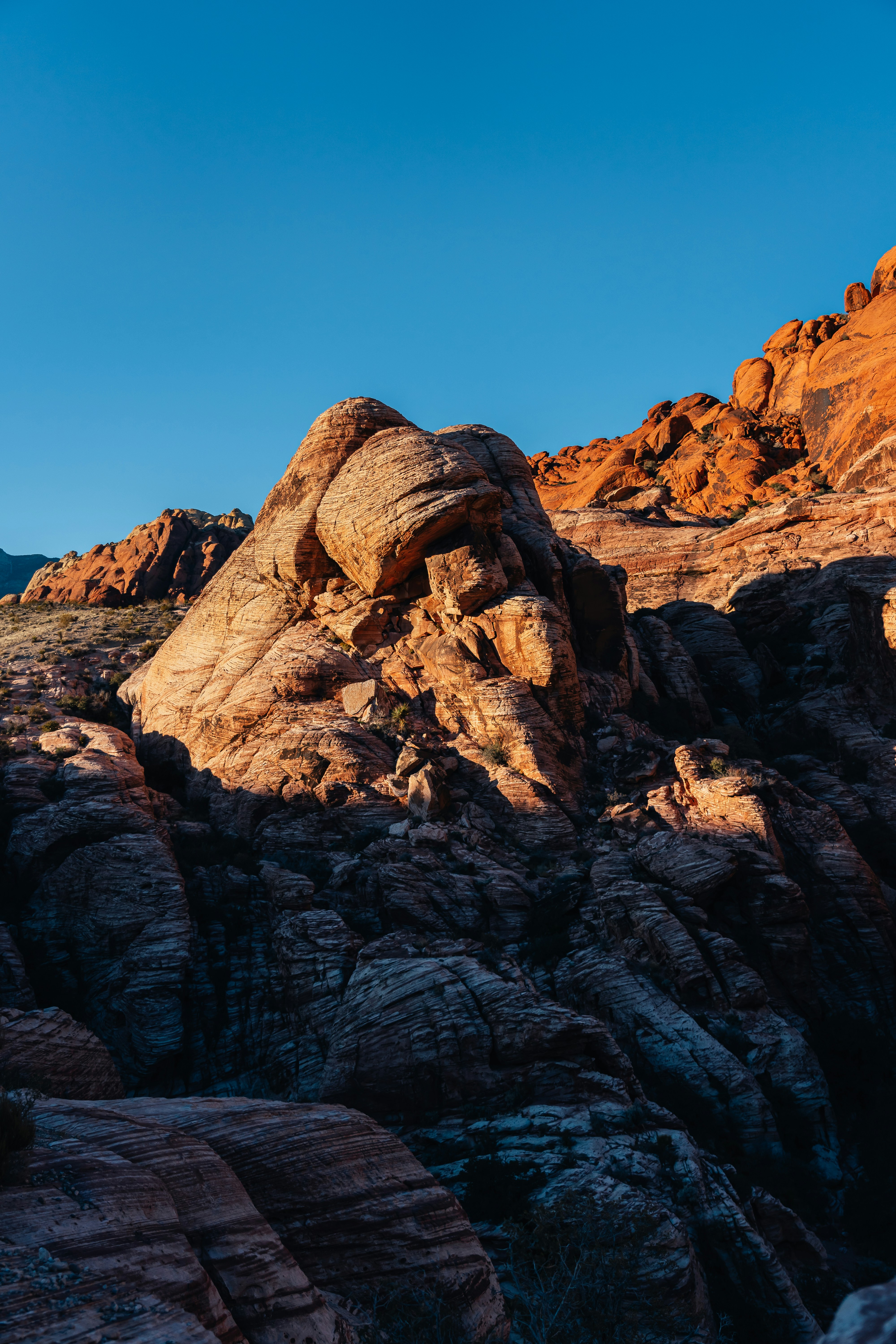 Photo by kalaniparker