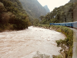 A vibrant blue train travels along a track beside a wide, flowing river surrounded by lush green mountainous terrain. The river appears turbulent, with white rapids visible in the brownish water, and dense vegetation covers the mountains on both sides. The scene is serene, capturing an intersection of natural beauty and human engineering.