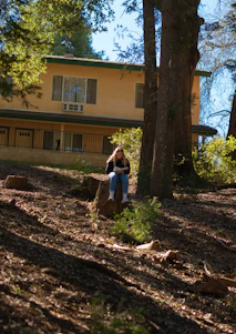 Friendly local technician grinding a tree stump in a Westfield, MA backyard on a sunny day.
