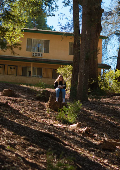 Friendly local technician grinding a tree stump in a Westfield, MA backyard on a sunny day.
