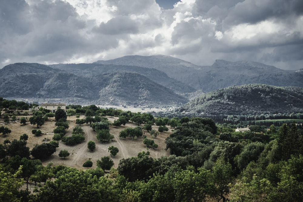 green trees and mountains under white clouds and blue sky during daytime