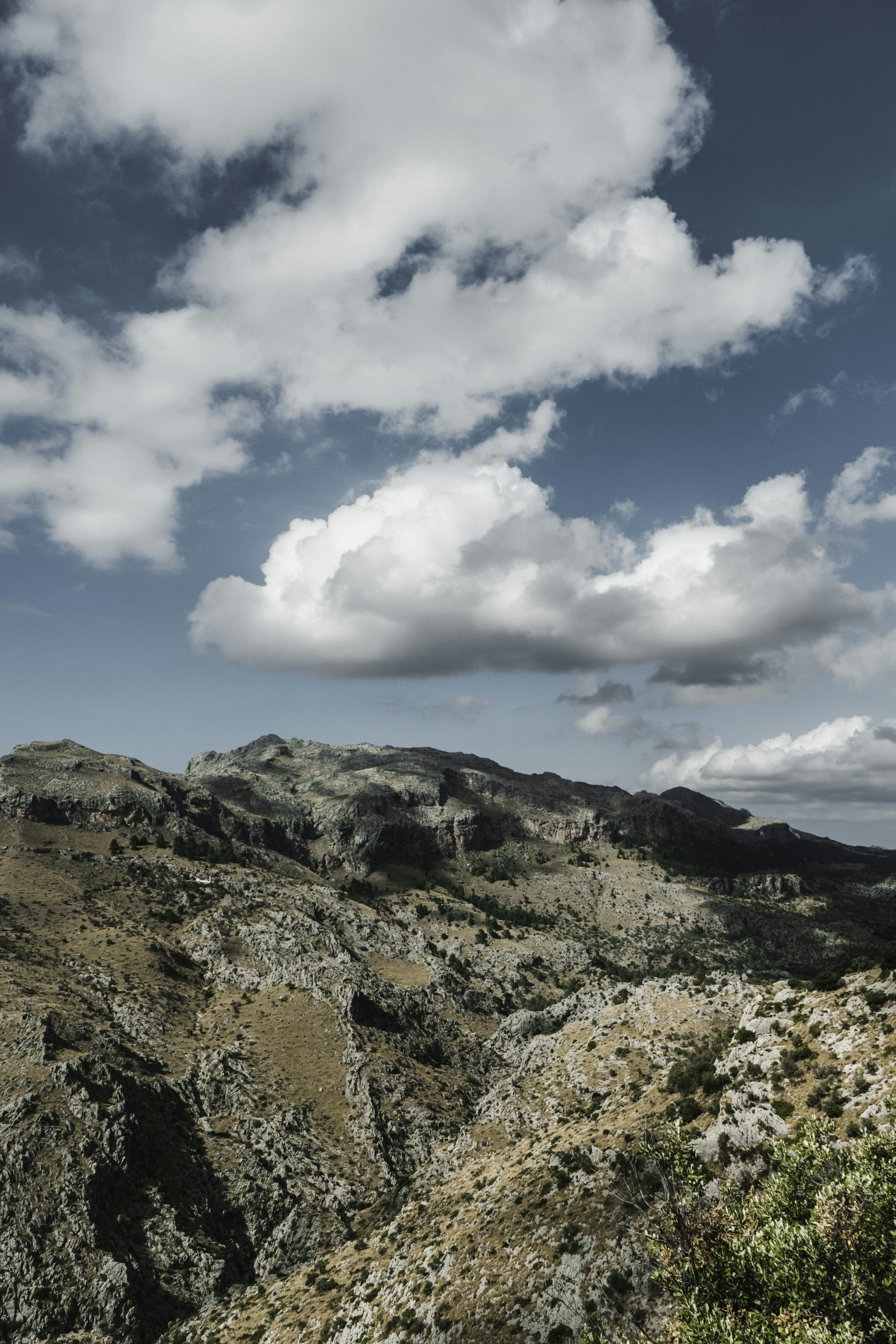 Photo by mh_fotografie_design