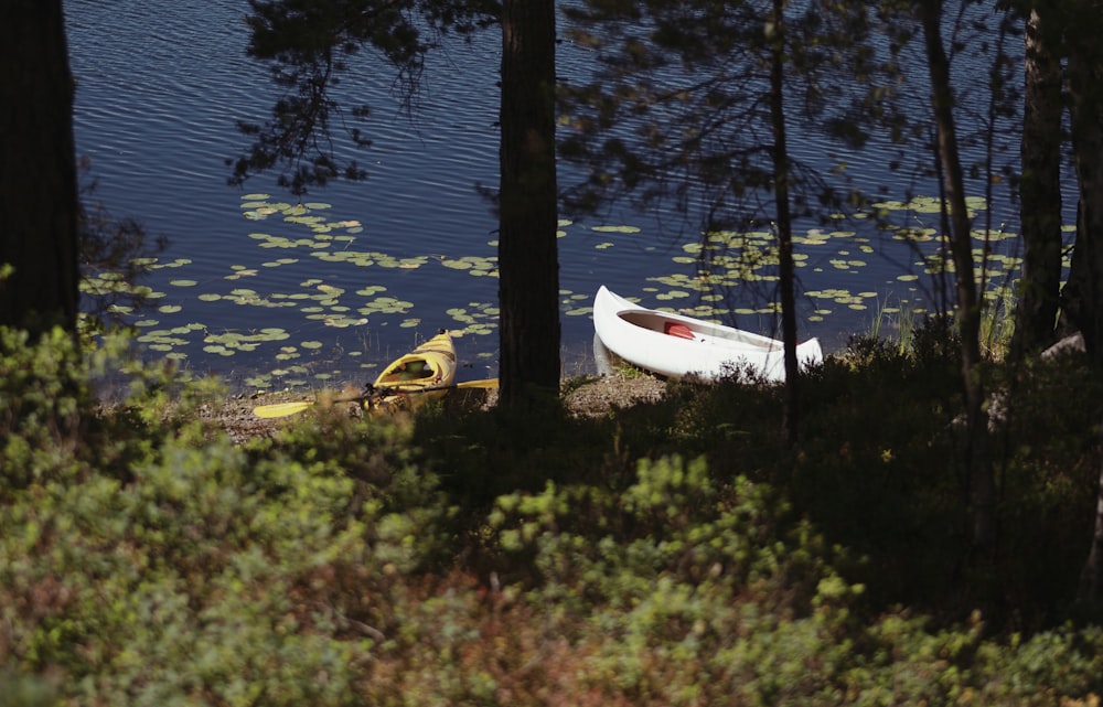 white boat on green grass near lake during daytime