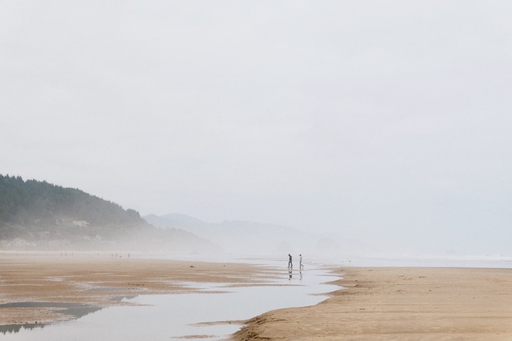 people walking on beach during daytime