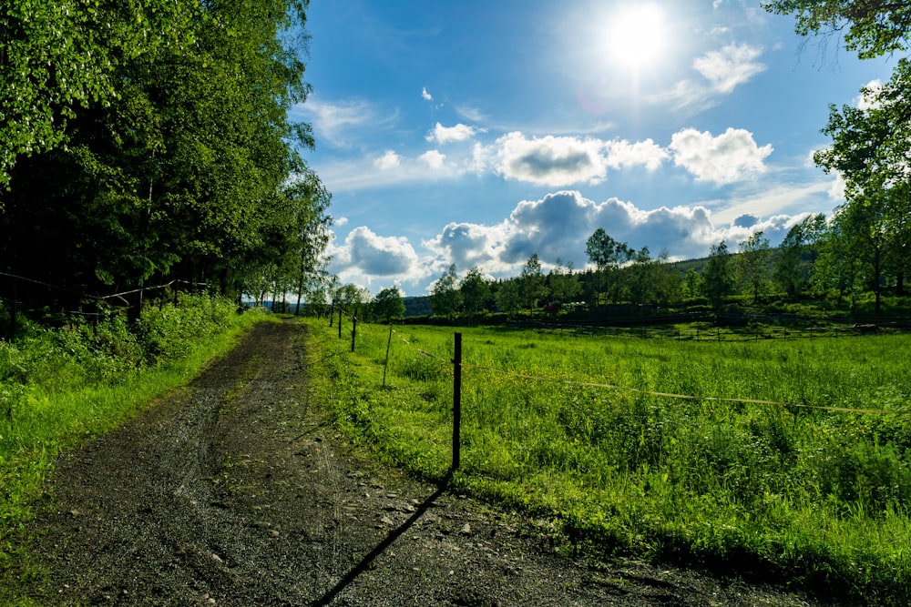 green grass field under blue sky and white clouds during daytime